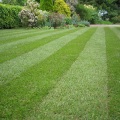 Perfecting Your Lawn: Grass Services In Pembroke Pines After Land Surveying